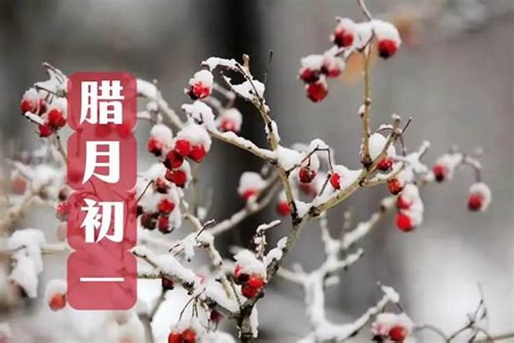 农历1988年腊月初一早上七点生 求大人给看看命运怎么样啊