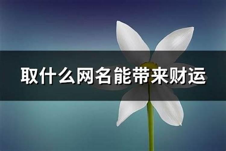 属猪腊月出生是什么命