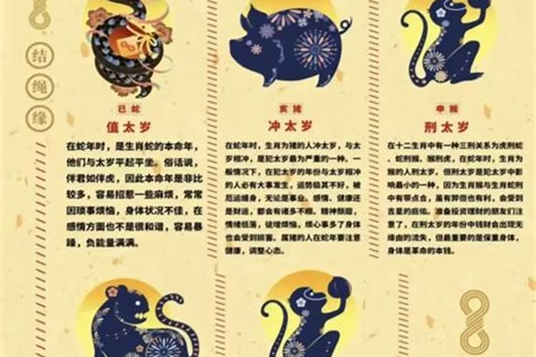 属狗的最佳配偶