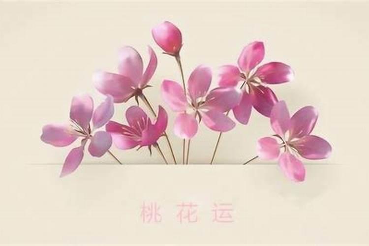 八宅风水催桃花之法 如何增加桃花运