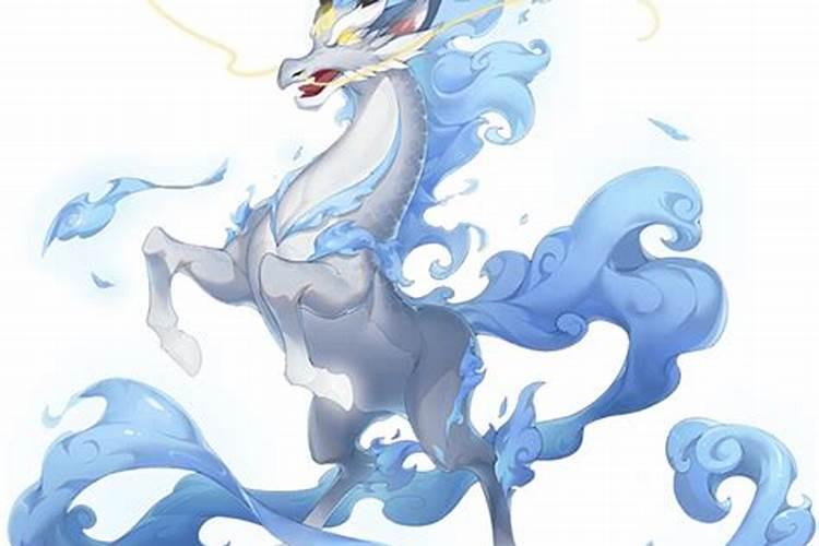马和龙在一起有财运吗