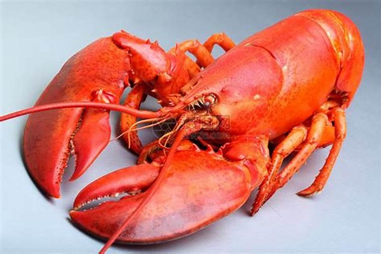 梦见钓龙虾没钓到
