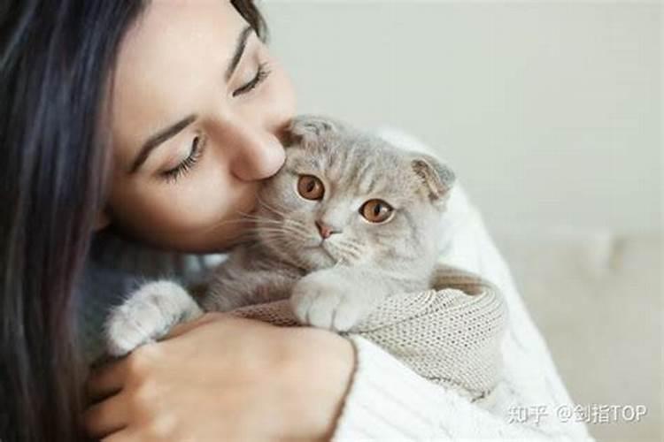 为什么养猫会影响主人的运气呢？