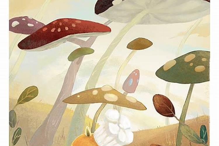 梦见踩蘑菇是什么意思？