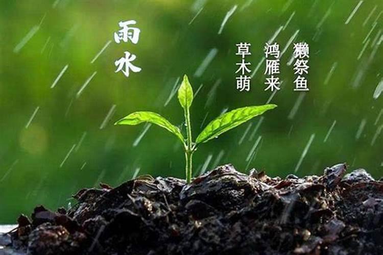 2024雨水节气是几月几日 雨水节气的温度是多少