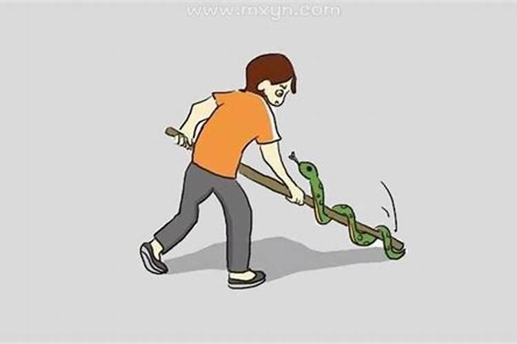 梦见自己打蛇有什么预兆？是什么意思？