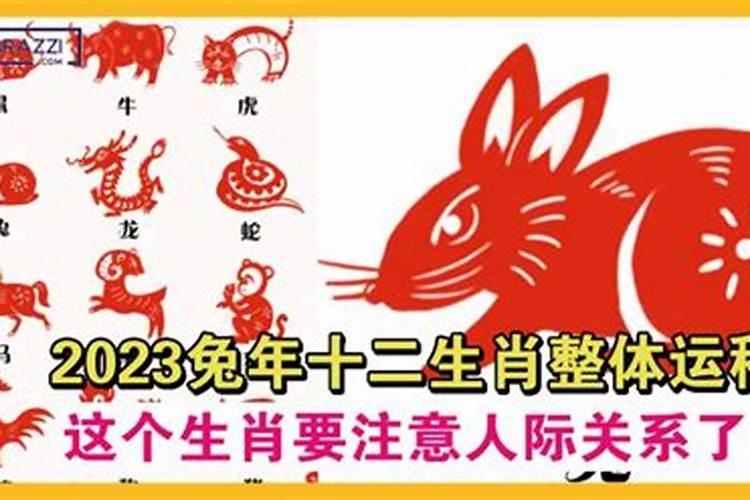 男属鼠和女属兔婚配解析