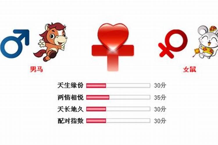 属马男配属鼠女合适吗 属马和属鼠的能伴到老吗