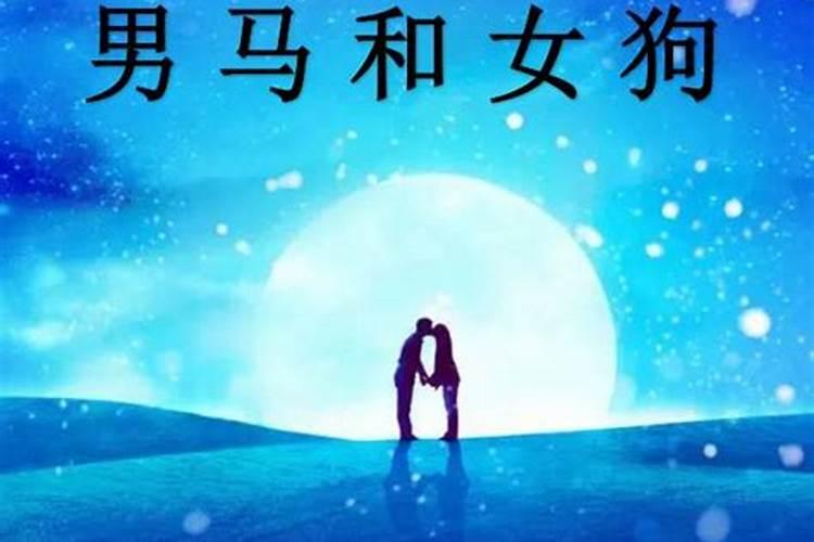 男马女狗的婚姻