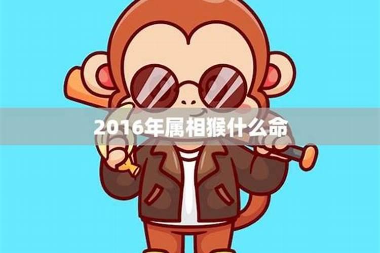 猴年12月份出生的五行缺什么