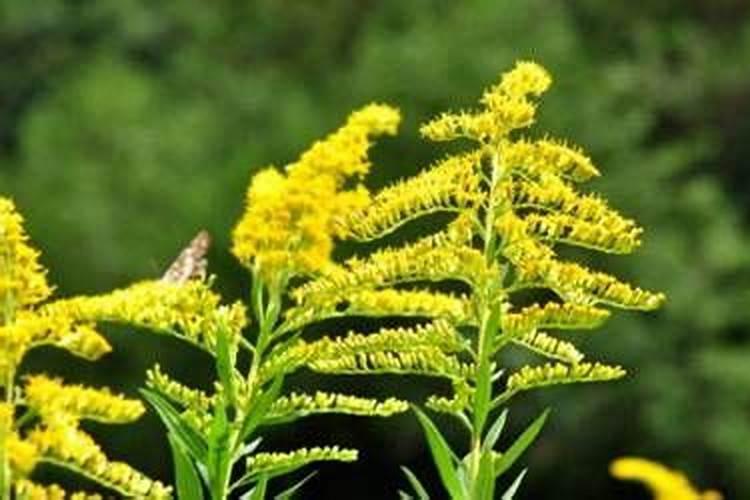 清明节起源于山西哪里