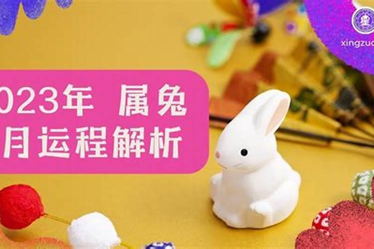 农历七月份出生的属兔人运势