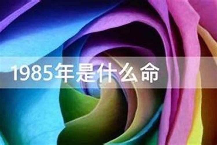 属牛人2025年每月运势及运程详解