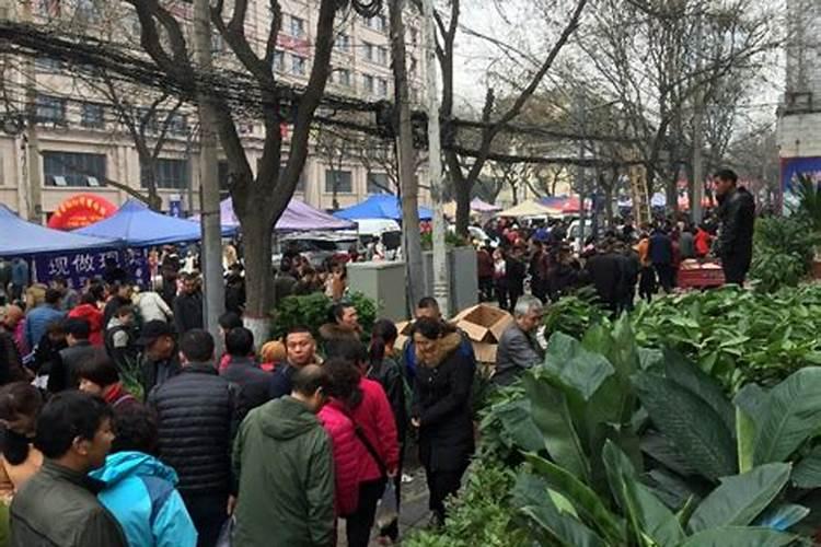 唐县庙会时间表大全