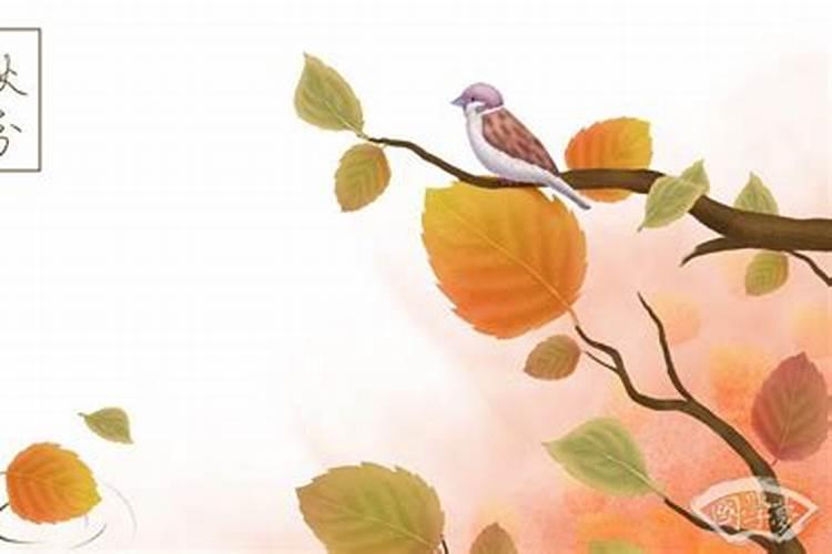 2015年阴历9月8号9点15刻出生的女孩,姓肖,应起什么名字好