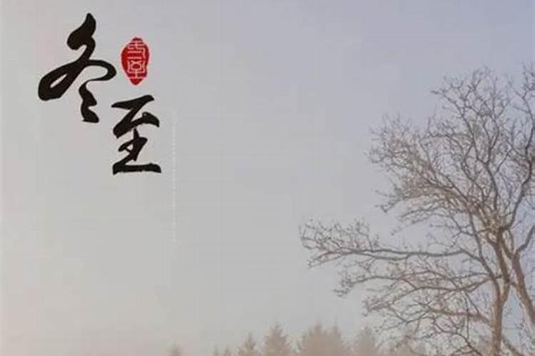 冬至为什么要吃饺子,寓意是什么？