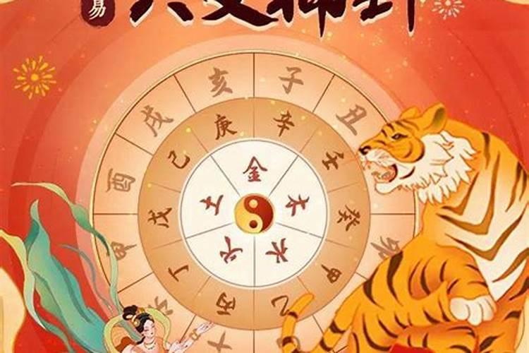 属牛人虎年财运