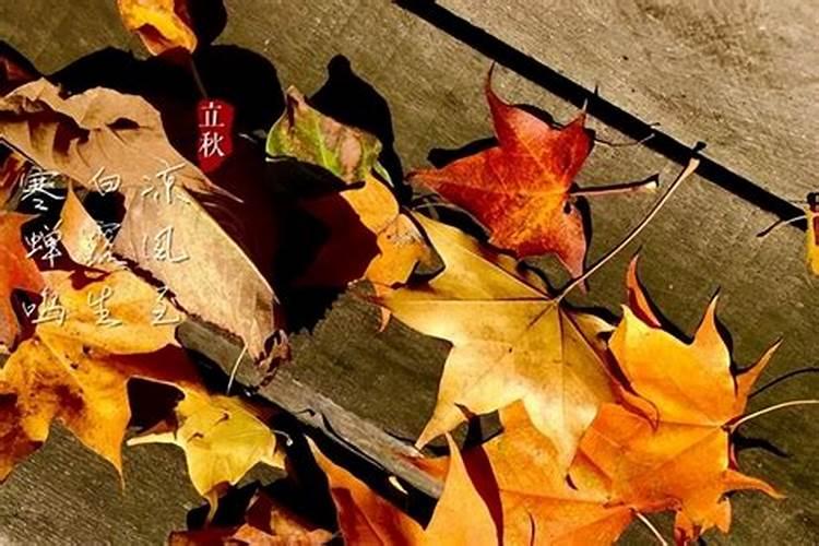 8月7日几时几分立秋