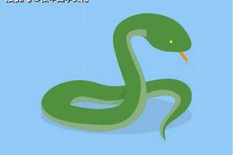 2025年5月27日最旺生肖是什么
