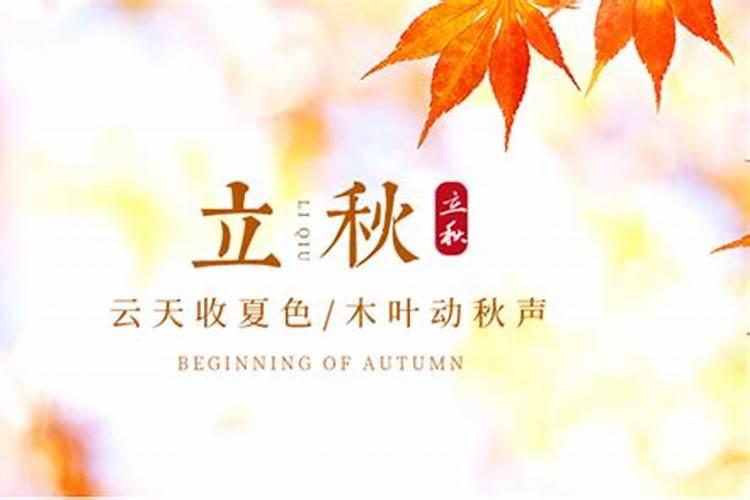 属相不合命理合是什么意思