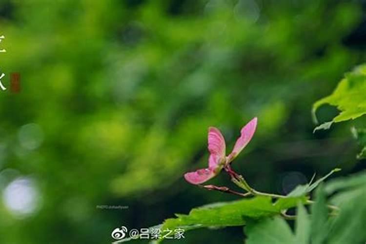 无锡过年的风俗有哪些