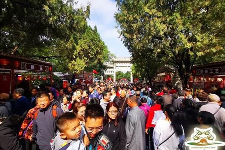 千佛山庙会时间重阳节,千佛山重阳节山会