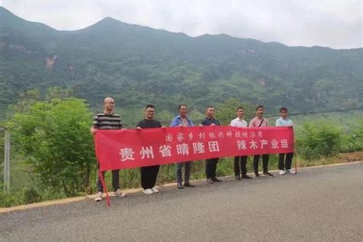 66年属马在2025年运气如何