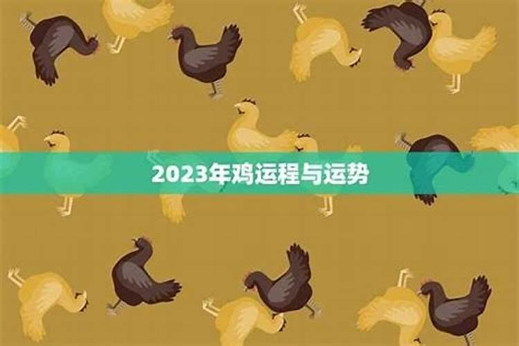 2025年是属鸡人最大转变