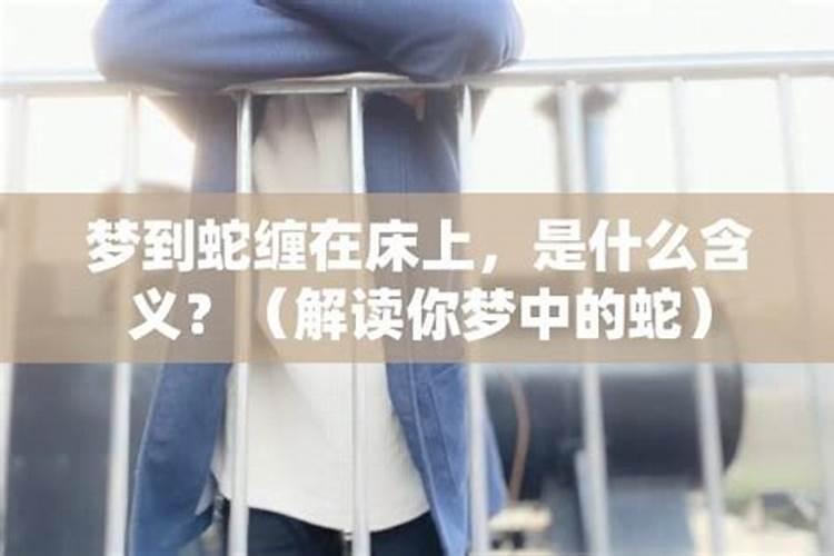 梦到蛇在床上预示着什么意思