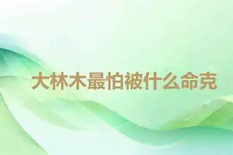 大林木命和什么命最合财 荣华富贵儿女双全