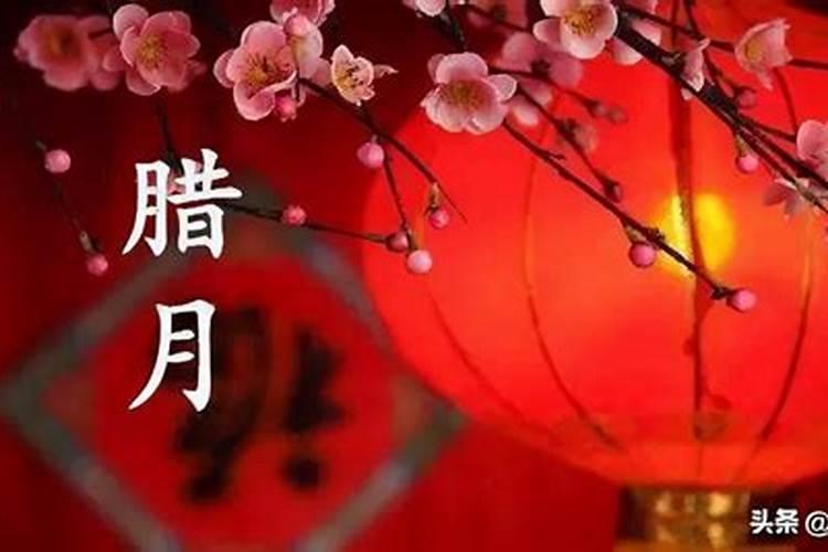 丙辰年腊月初二生人今年五月运势