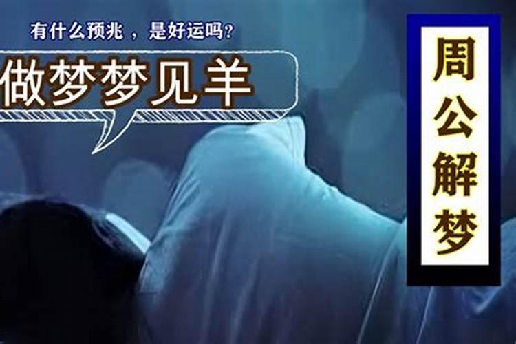 梦见这10样东西预示好运来临