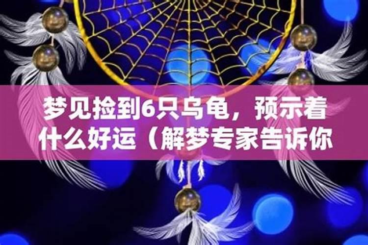 梦见什么预示好运来临,做梦梦见什么预示大富大贵呢