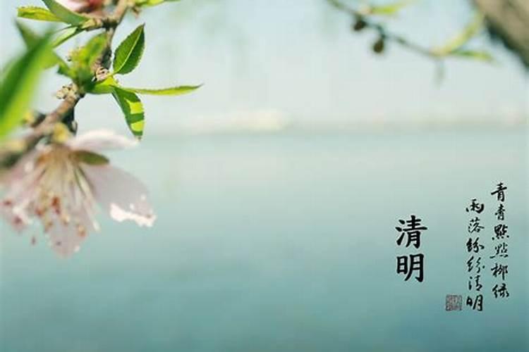 清明私墓公墓有分别 清明新坟老坟大不同