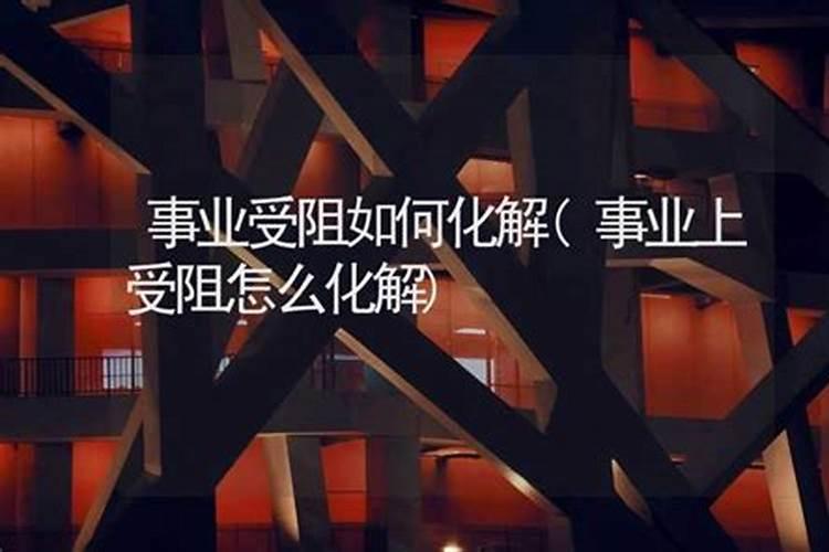 2026年属狗人的全年运势详解