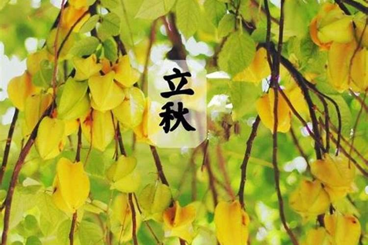 出生在立秋后算七月吗 过了立秋算七月