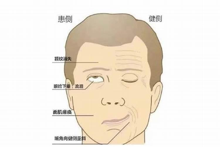 什么是冷漠 面瘫才是这些生肖的日常？