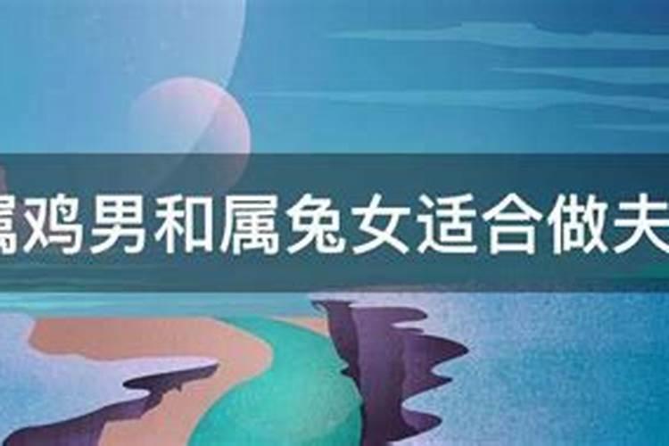 男属鸡女属兔会幸福吗 男鸡配女兔婚姻好不好