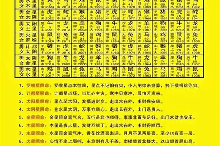 2025年五行属什么金木水火土