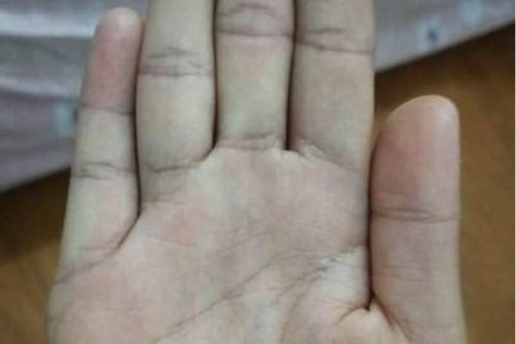 梦见女领导的预兆