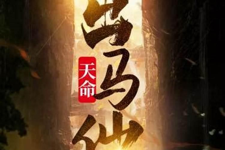 天命出马仙共多少集