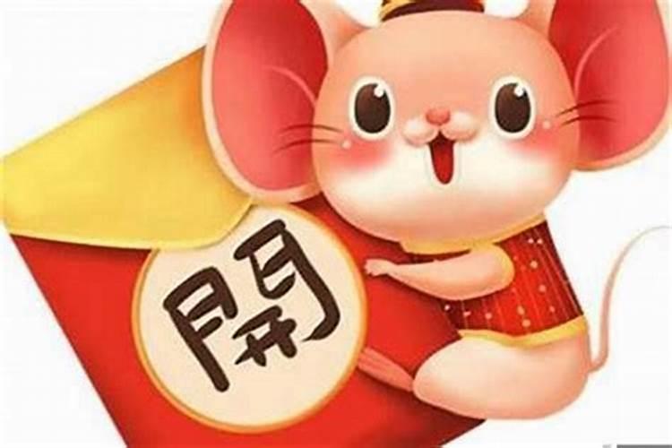2025属兔人的全年运势如何