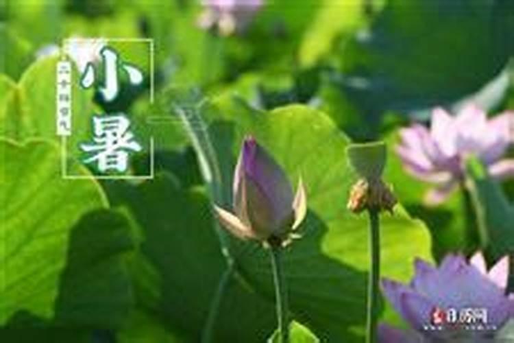 二十四节气歌,知道的说下,分别说明每个节气的含义
