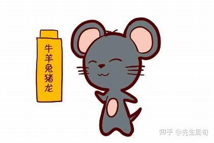 男属鼠找什么属相较好 男属鼠和什么属相较配