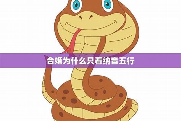 五行与纳音五行有什么区别,合婚看属相五行还是属相纳音
