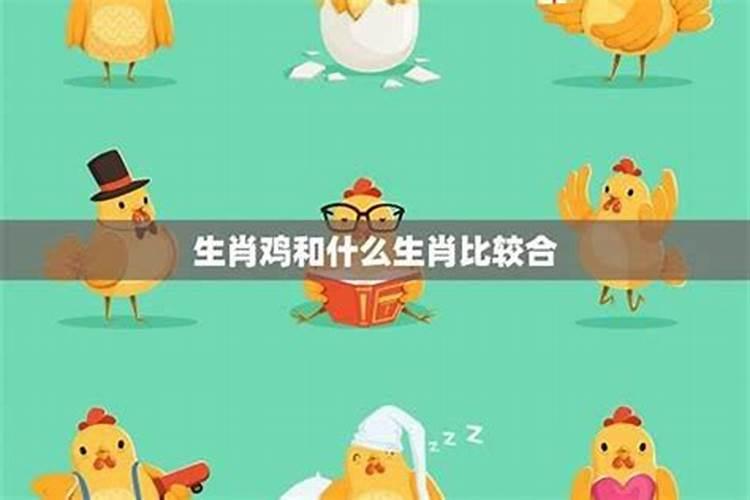 93鸡95猪八字合不合,93年男属鸡和95年女属猪的八字和不和 ？