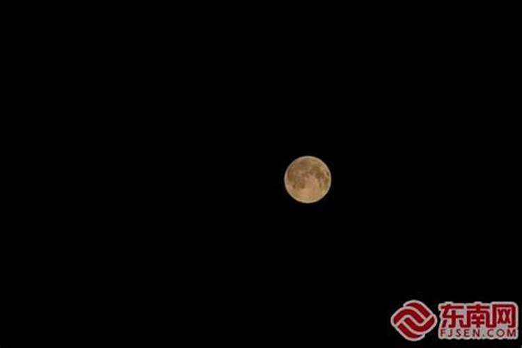 用神怎么取,八字命理中的用神