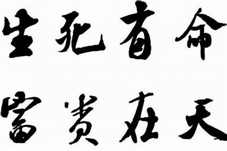 富贵之命什么意思？