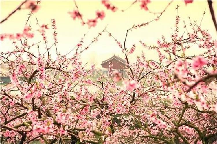 梦见儿子结婚是什么意思周公解梦