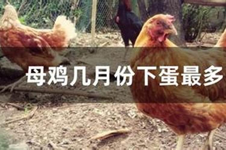 梦见自家院子往外流水